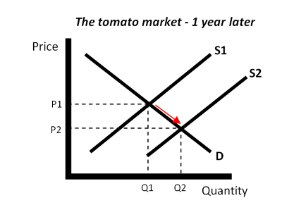 The chart shows price fluctuations - 1 year later.