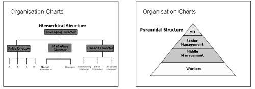 Organizational charts - hierarchical and pyramidal