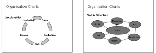 Organizational charts - circular and matrix